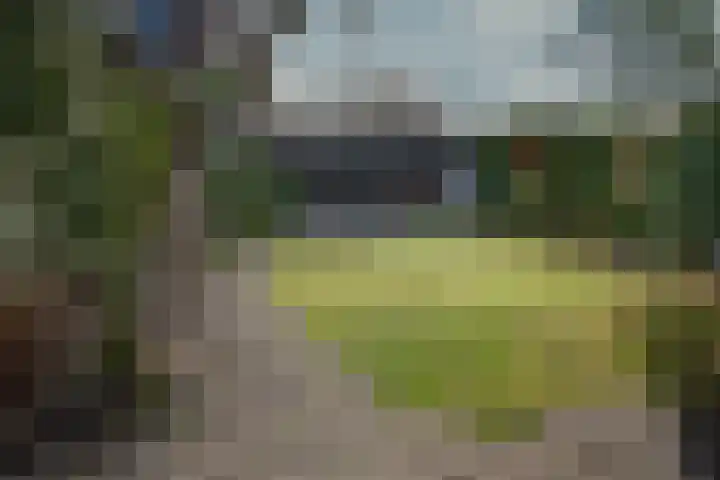 Graafschap 39 Assen thumbnail 32