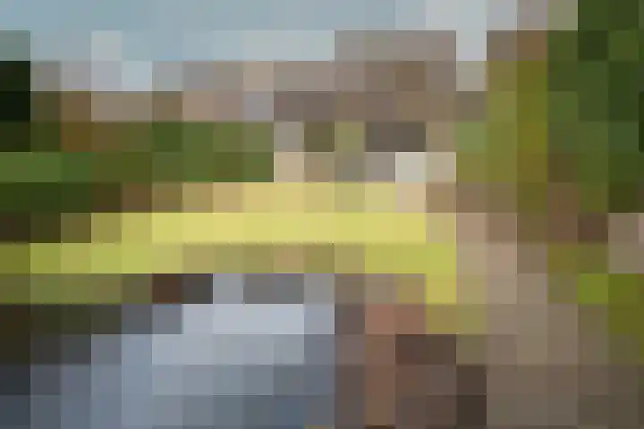 Graafschap 39 Assen thumbnail 37