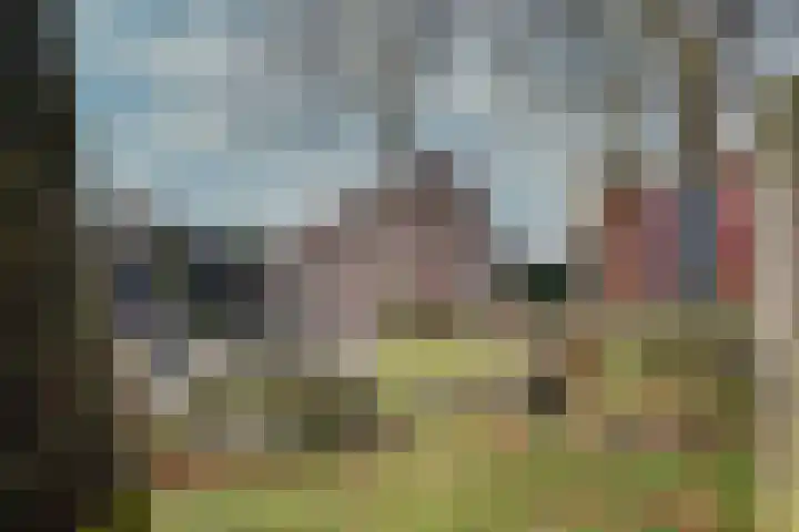 Graafschap 39 Assen thumbnail 40