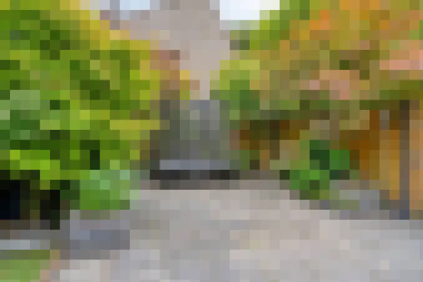 Graafschap 61 Assen thumbnail 36