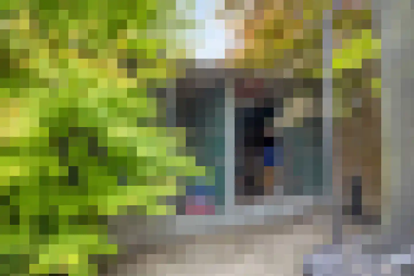 Graafschap 61 Assen thumbnail 37