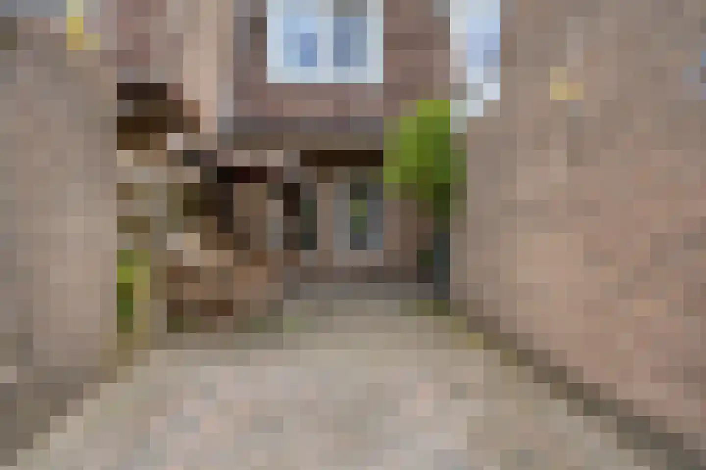 Graafschap 61 Assen thumbnail 38