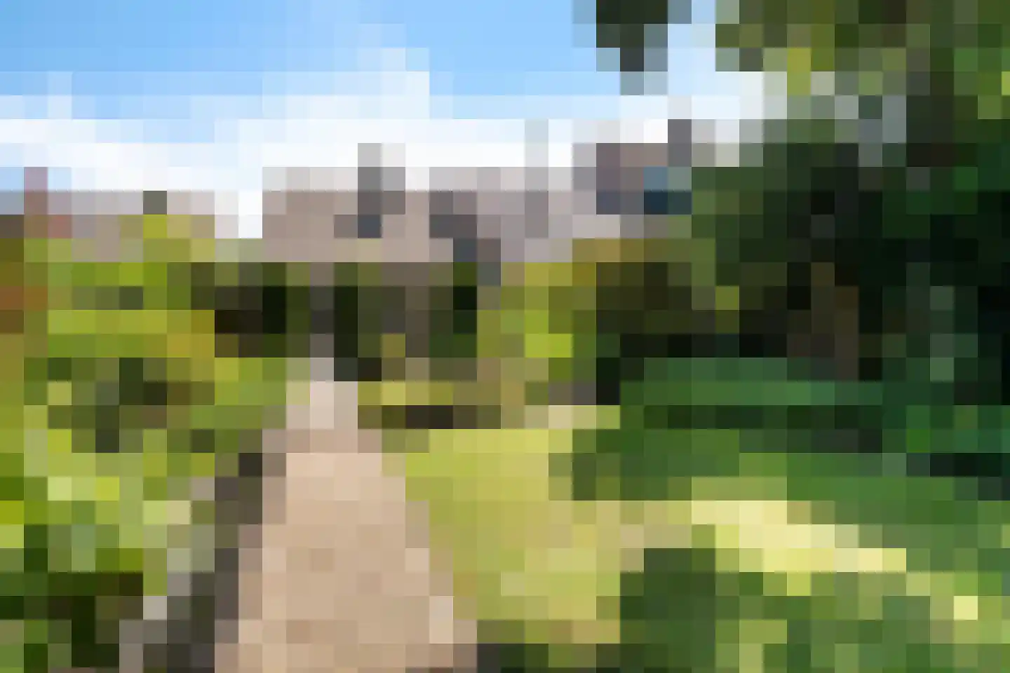Graafschap 9 Assen thumbnail 17