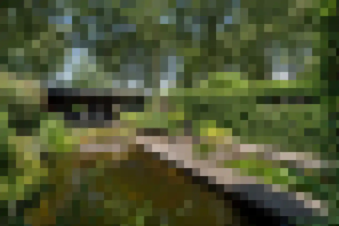 Graafschap 9 Assen thumbnail 19