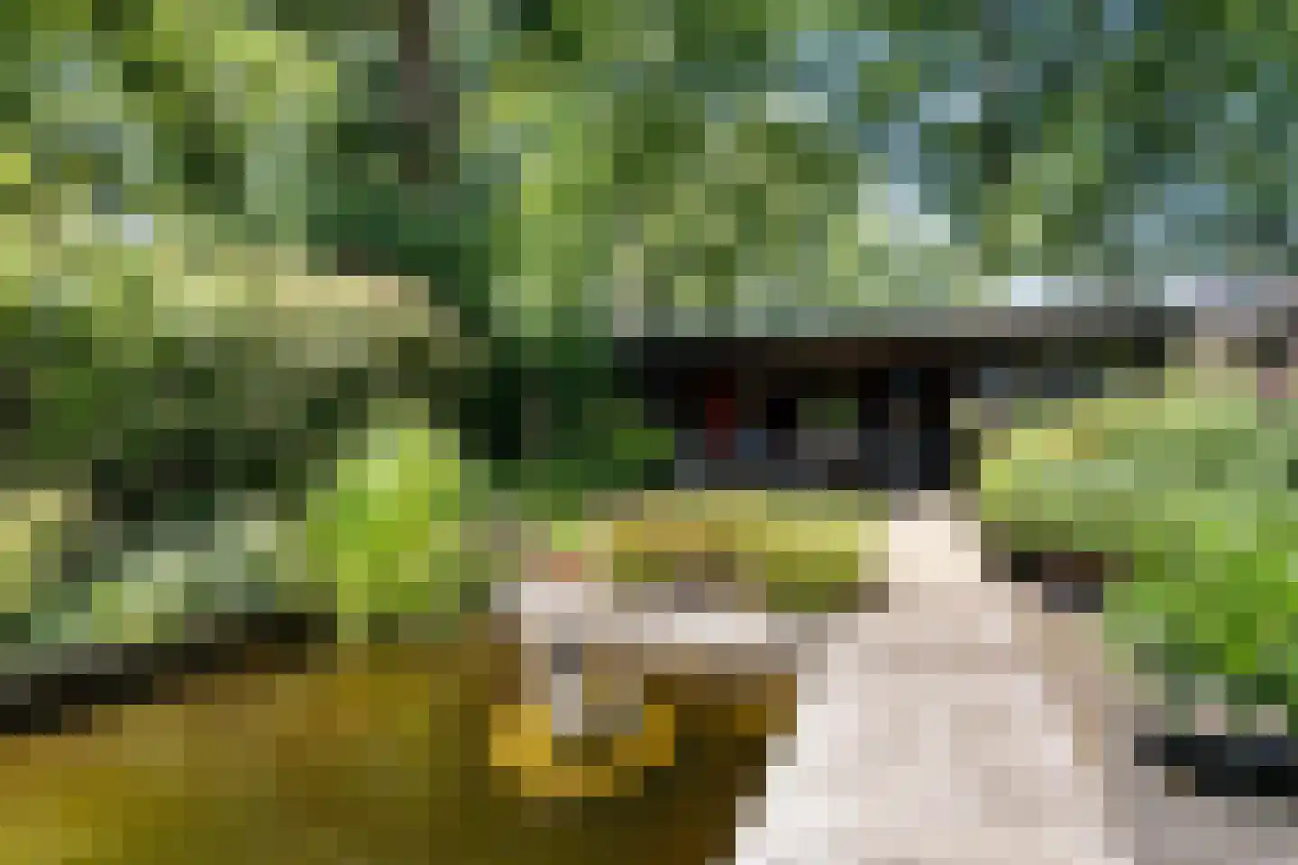 Graafschap 9 Assen thumbnail 21