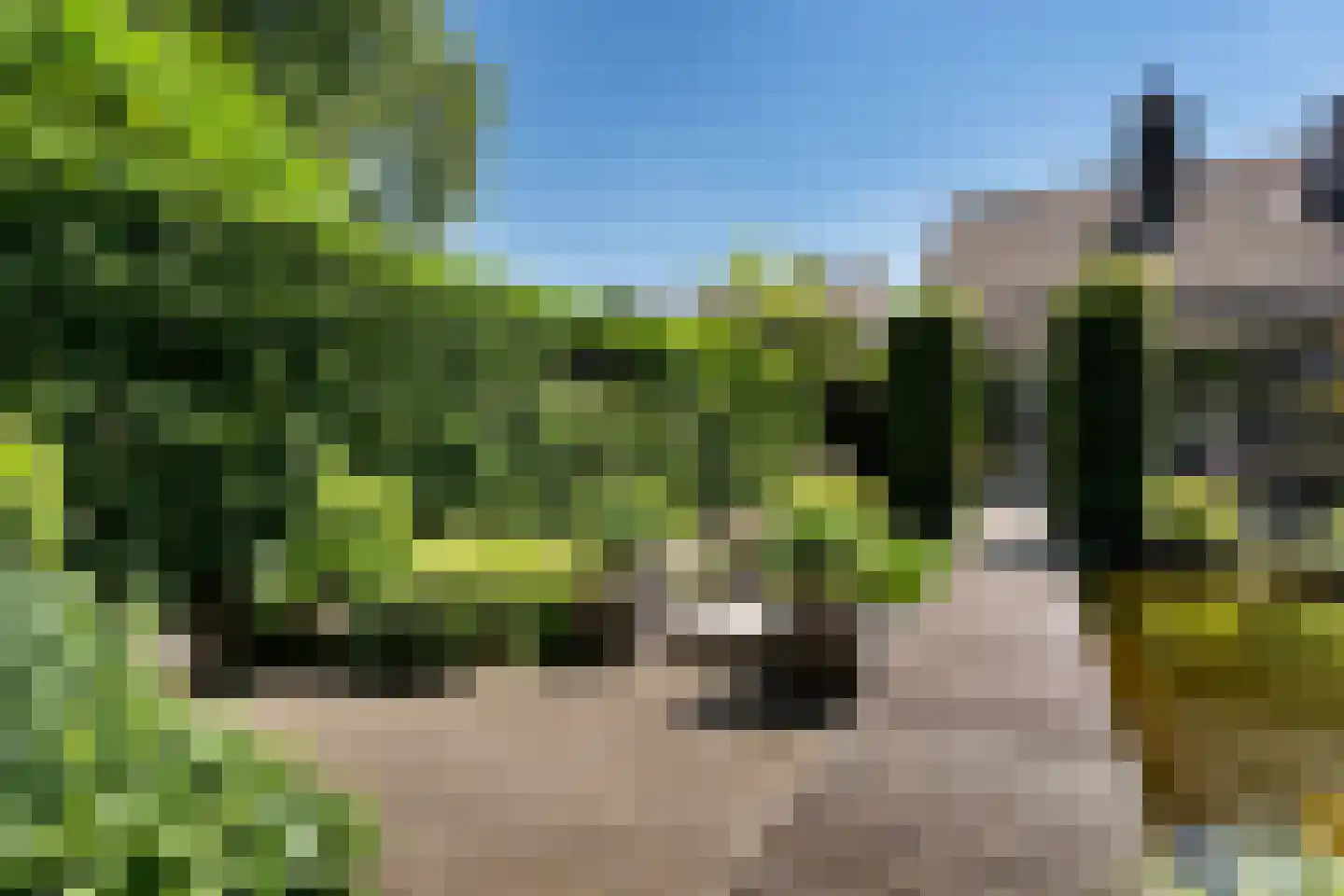Graafschap 9 Assen thumbnail 22