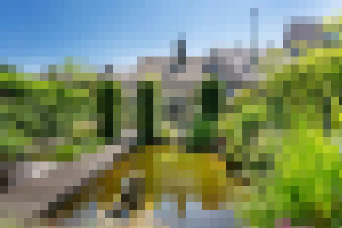 Graafschap 9 Assen thumbnail 24