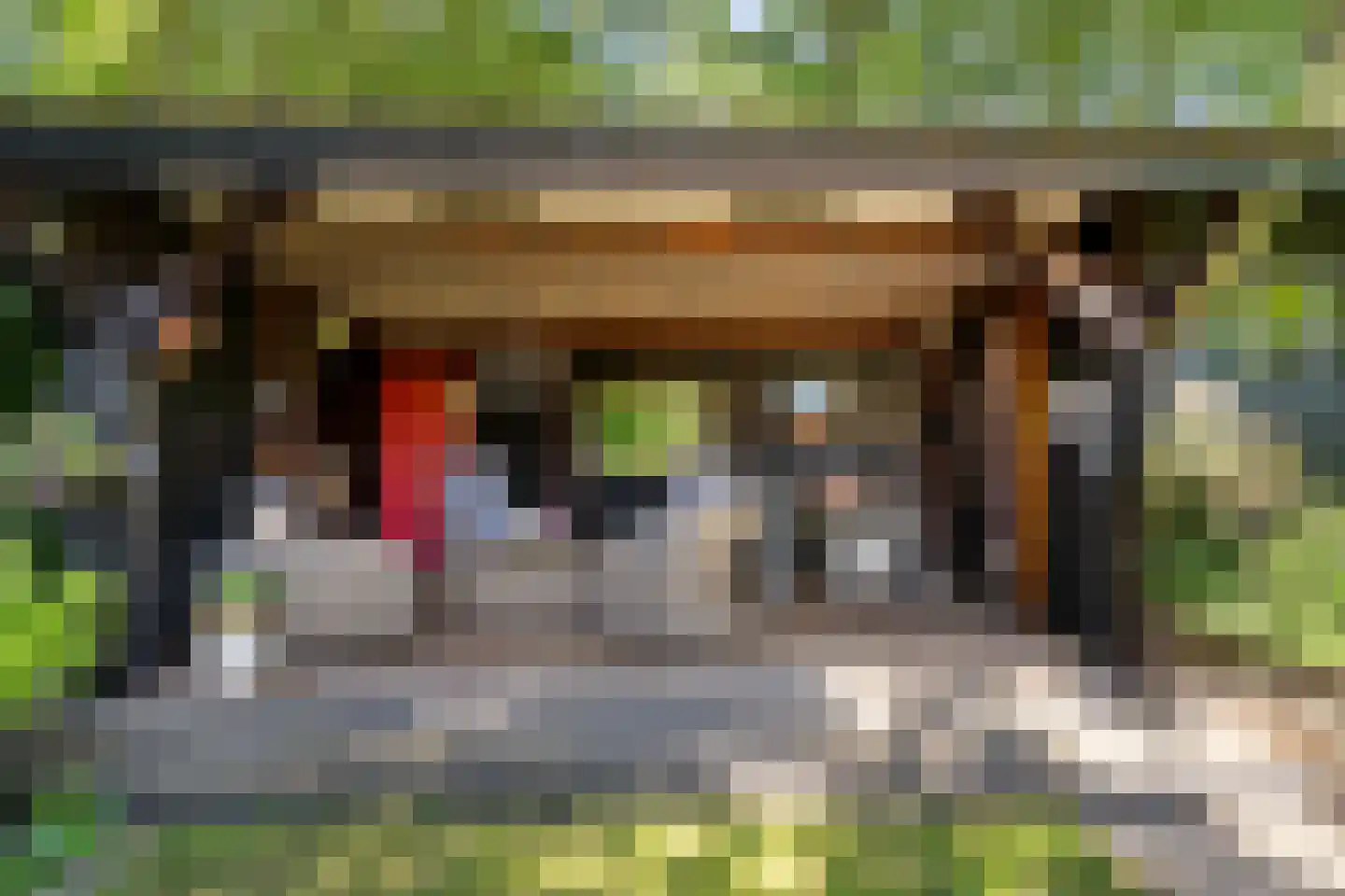 Graafschap 9 Assen thumbnail 26