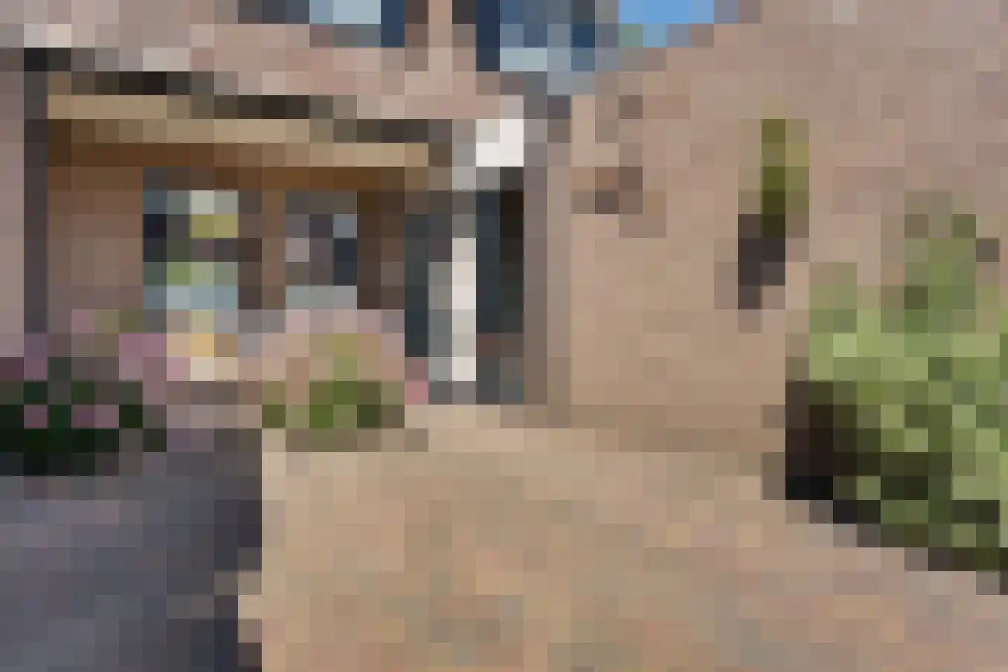 Graafschap 9 Assen thumbnail 4