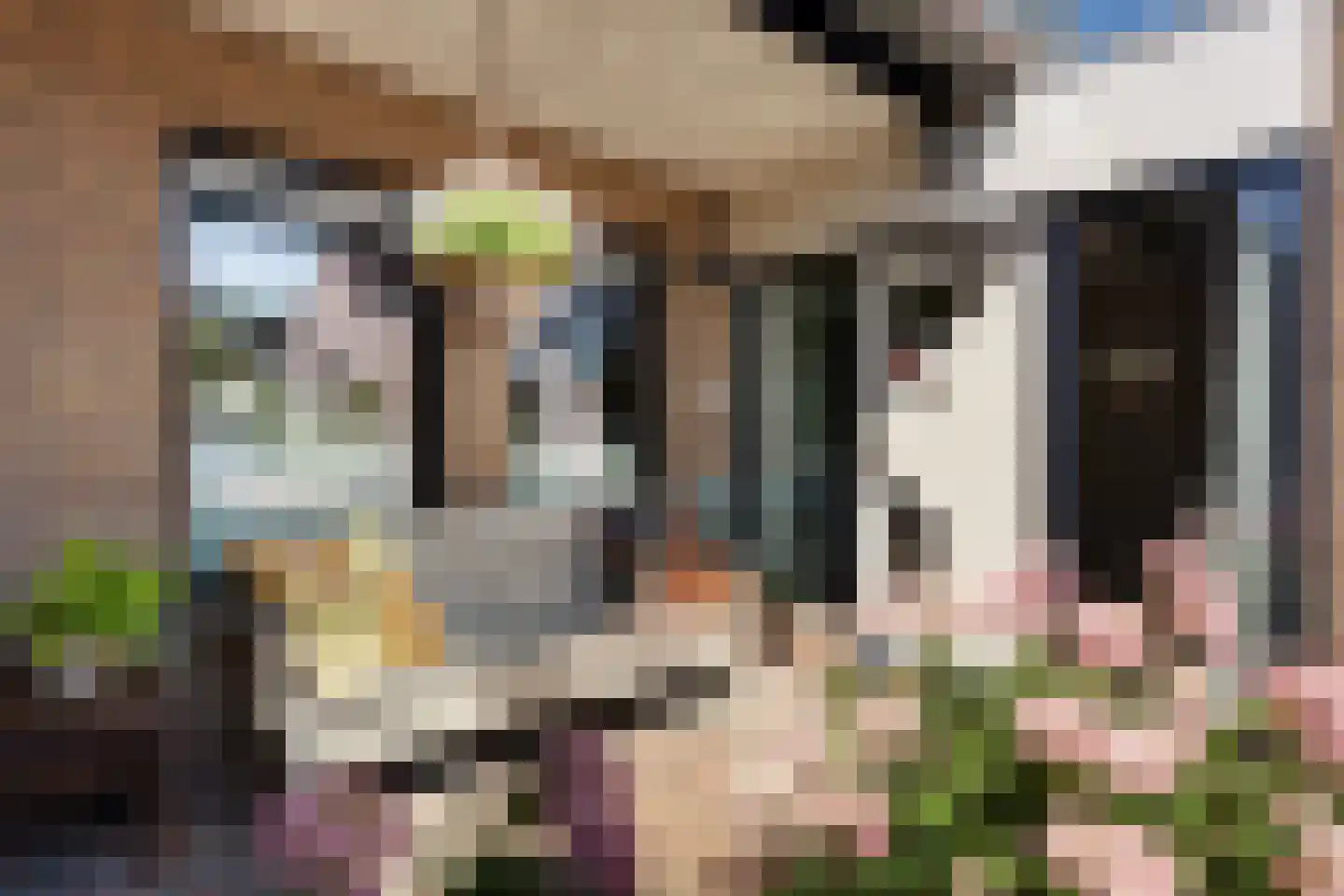 Graafschap 9 Assen thumbnail 5