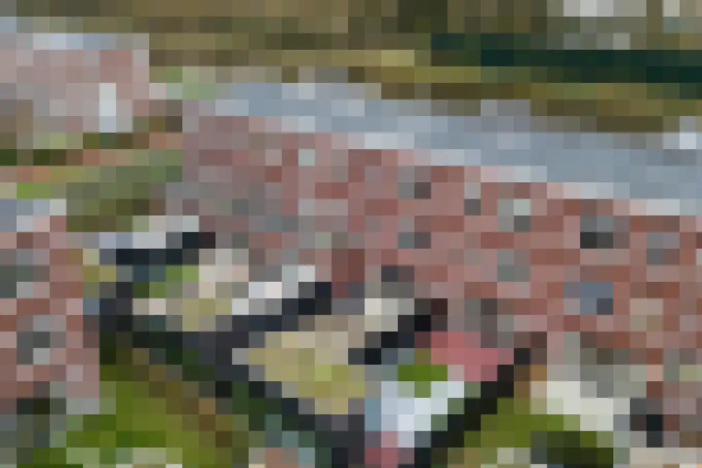 Graafschap Hollandlaan 71 Den Haag thumbnail 45