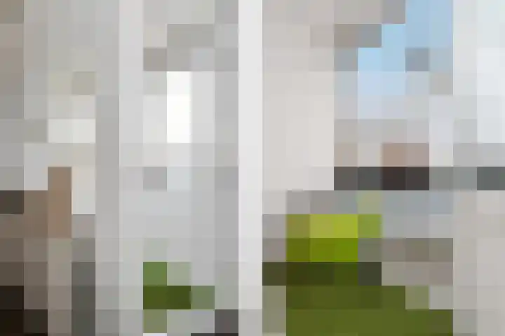 Graafschap Hornelaan 105 Weert thumbnail 17