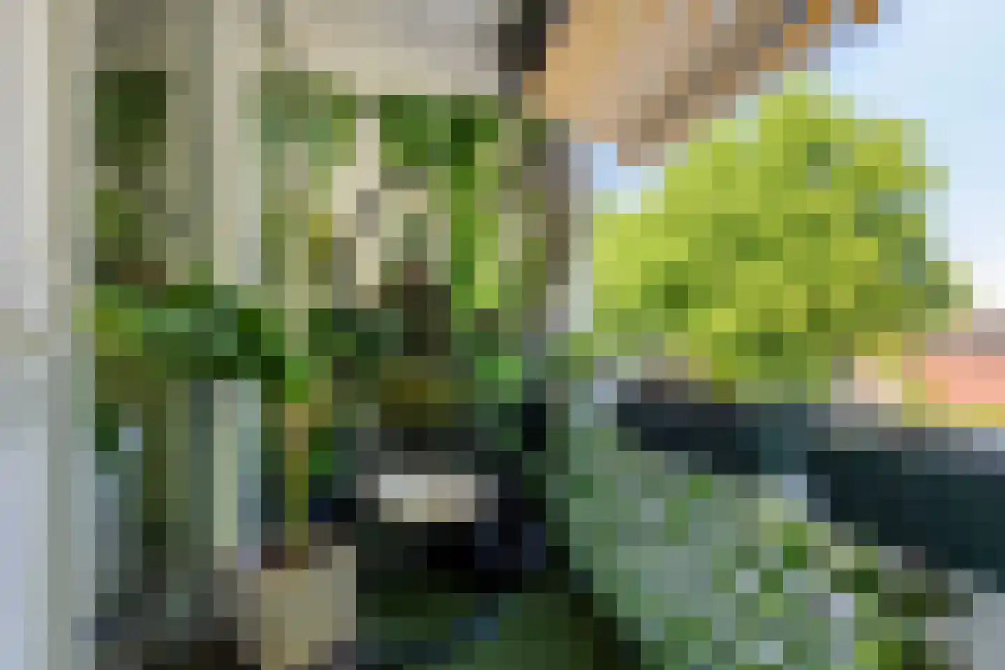 Graafschap Hornelaan 107 Weert thumbnail 18