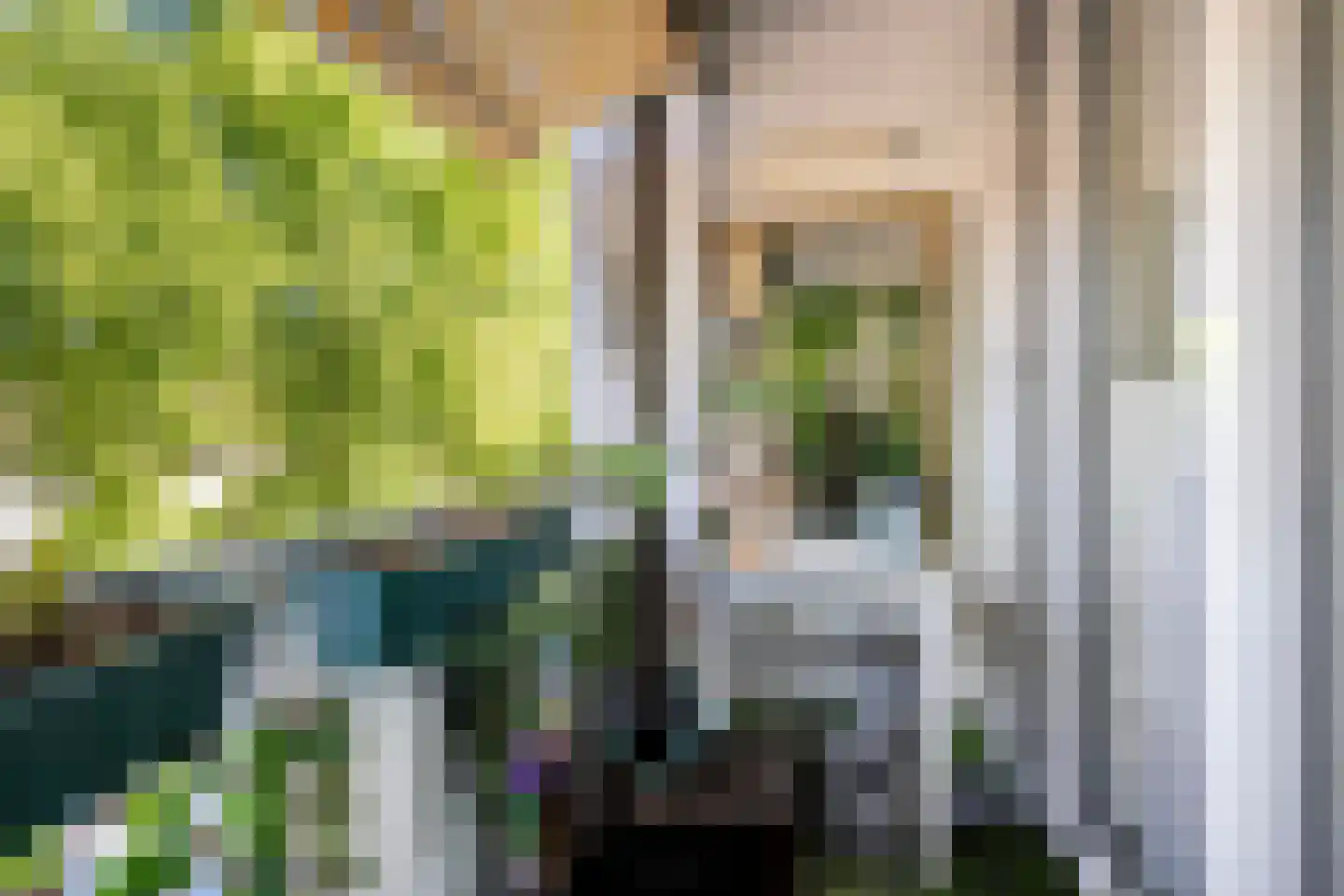 Graafschap Hornelaan 107 Weert thumbnail 19
