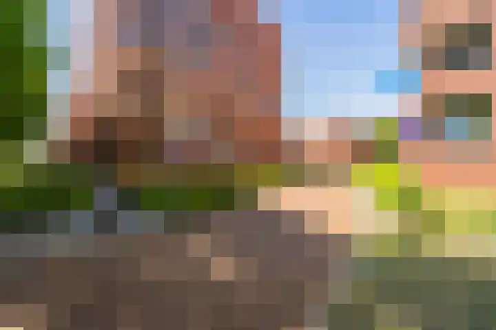 Graafschap Hornelaan 15 A Weert thumbnail 29