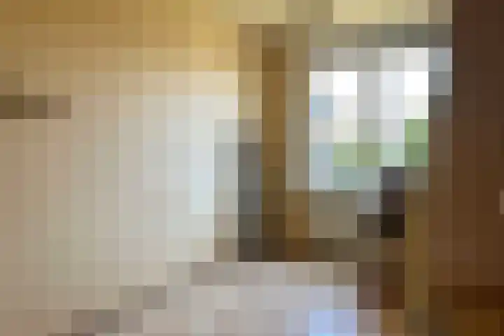 Graafschap Hornelaan 24 Budel thumbnail 13