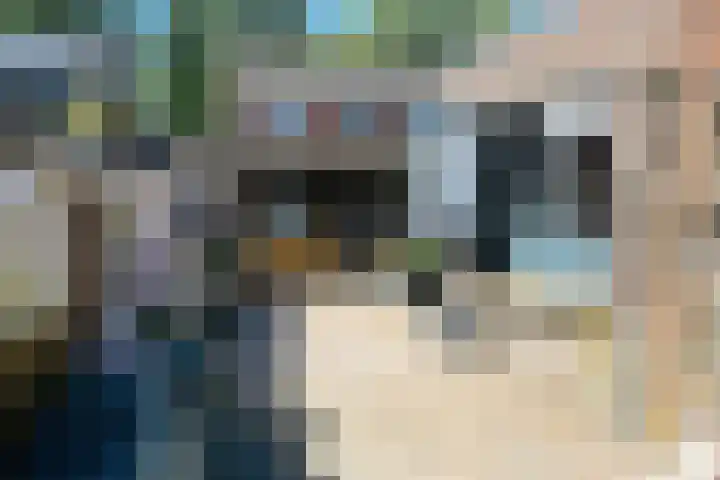 Graafschap Hornelaan 24 Budel thumbnail 15