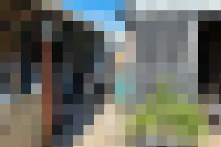 Graafschap Hornelaan 24 Budel thumbnail 16