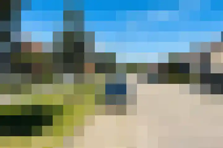Graafschap Hornelaan 24 Budel foto 3