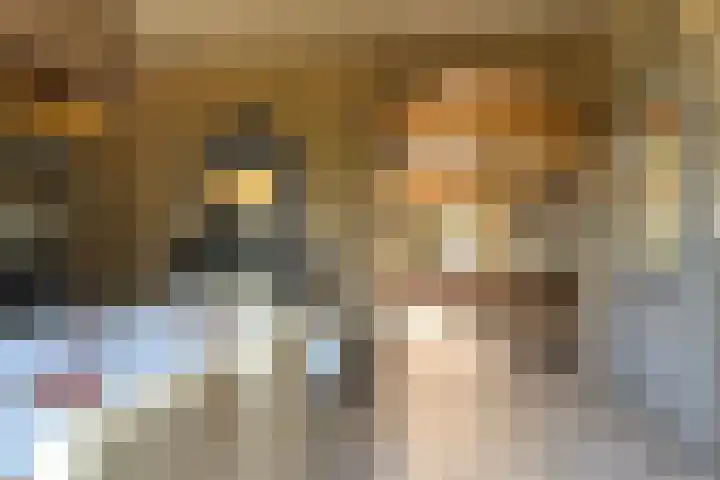 Graafschap Hornelaan 24 Budel thumbnail 4