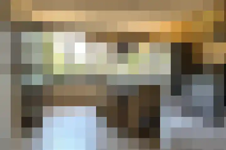 Graafschap Hornelaan 24 Budel thumbnail 5