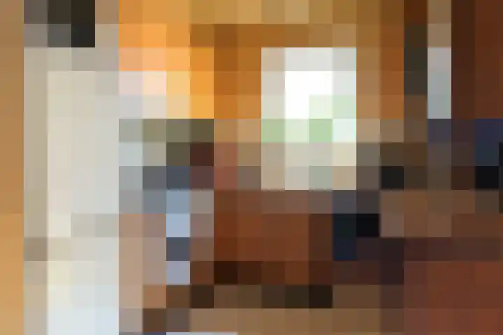 Graafschap Hornelaan 24 Budel thumbnail 6