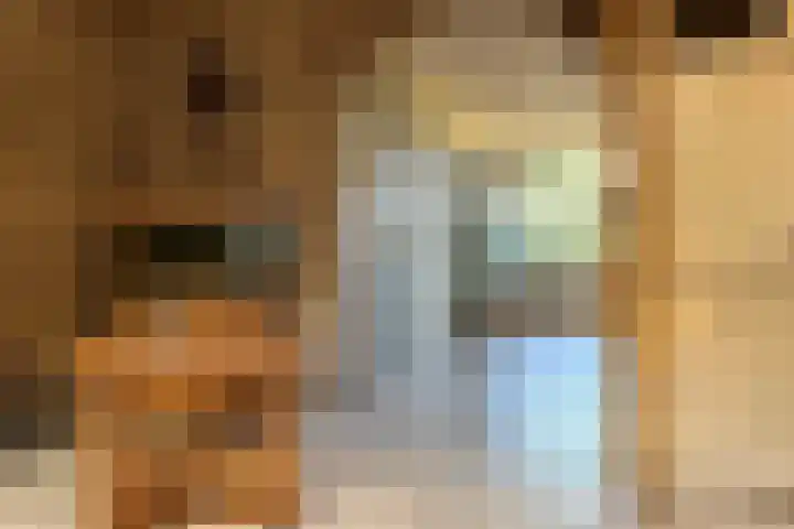 Graafschap Hornelaan 24 Budel thumbnail 7