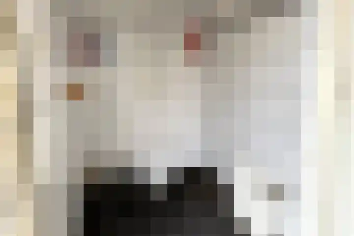 Graafschap Hornelaan 24 Budel thumbnail 9