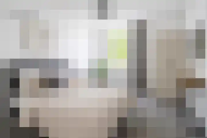 Graafschap Hornelaan 93 Weert thumbnail 23