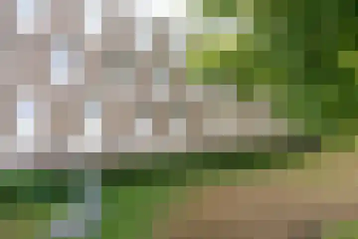 Graafschap Hornelaan 93 Weert thumbnail 38
