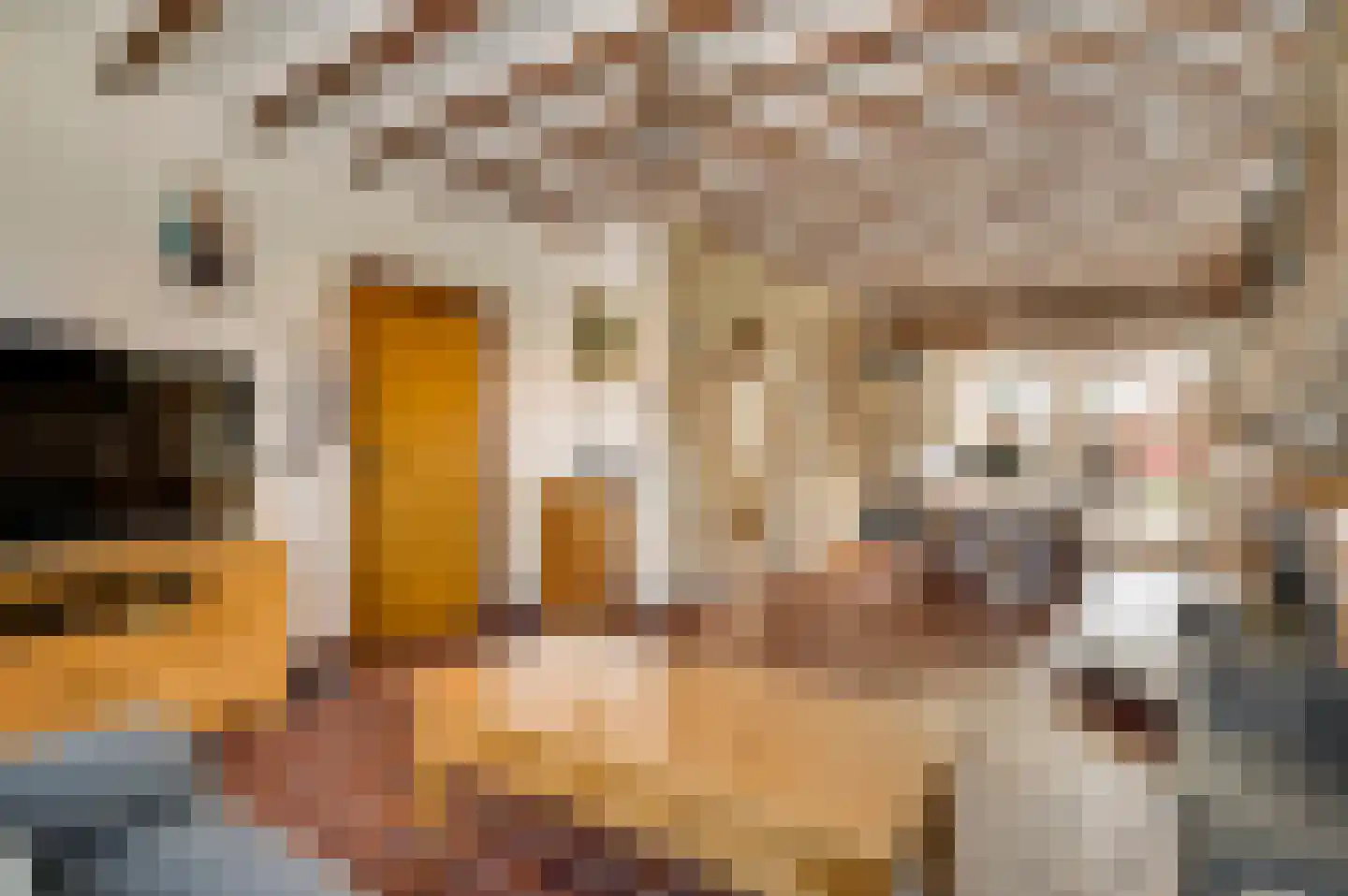 Graafschap Hornestraat 13 Kelpen-Oler thumbnail 12