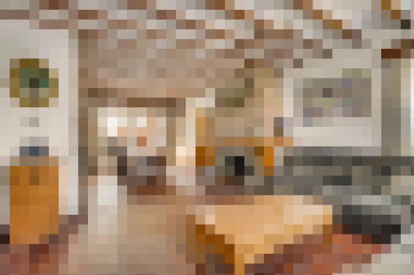 Graafschap Hornestraat 13 Kelpen-Oler thumbnail 4