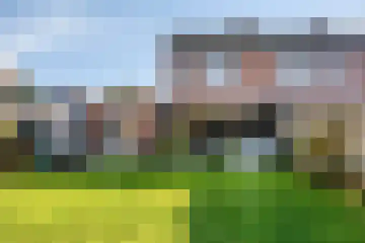 Graafschap Hornestraat 14 Kelpen-Oler thumbnail 24