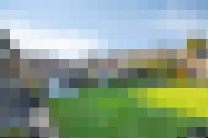 Graafschap Hornestraat 14 Kelpen-Oler thumbnail 31