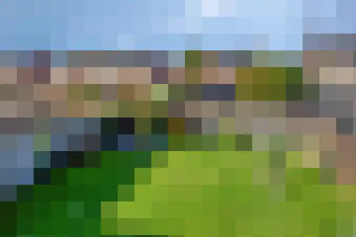 Graafschap Hornestraat 14 Kelpen-Oler thumbnail 33
