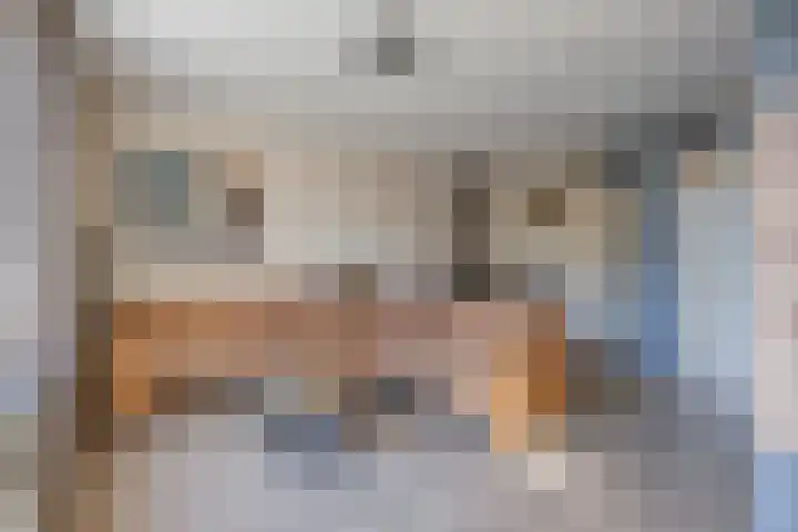 Graafschap Hornestraat 14 Kelpen-Oler thumbnail 8