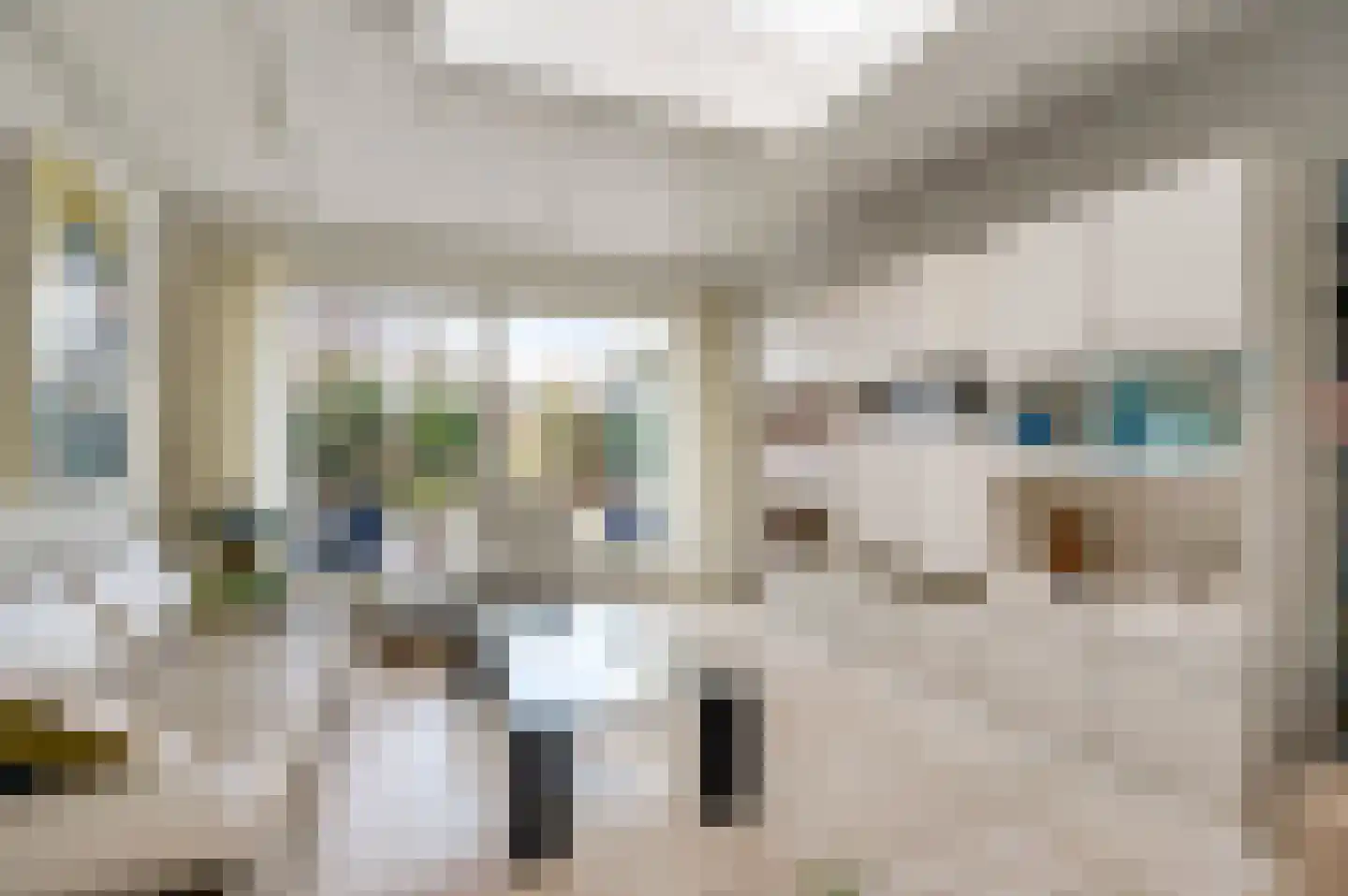 Graafschap Hornestraat 21 Horn thumbnail 16