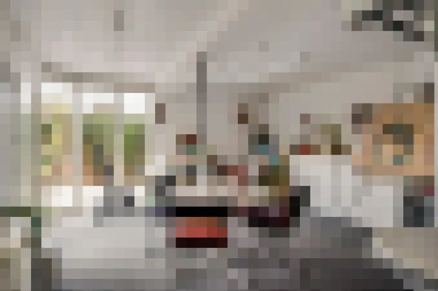 Graafschap Hornestraat 21 Horn thumbnail 24