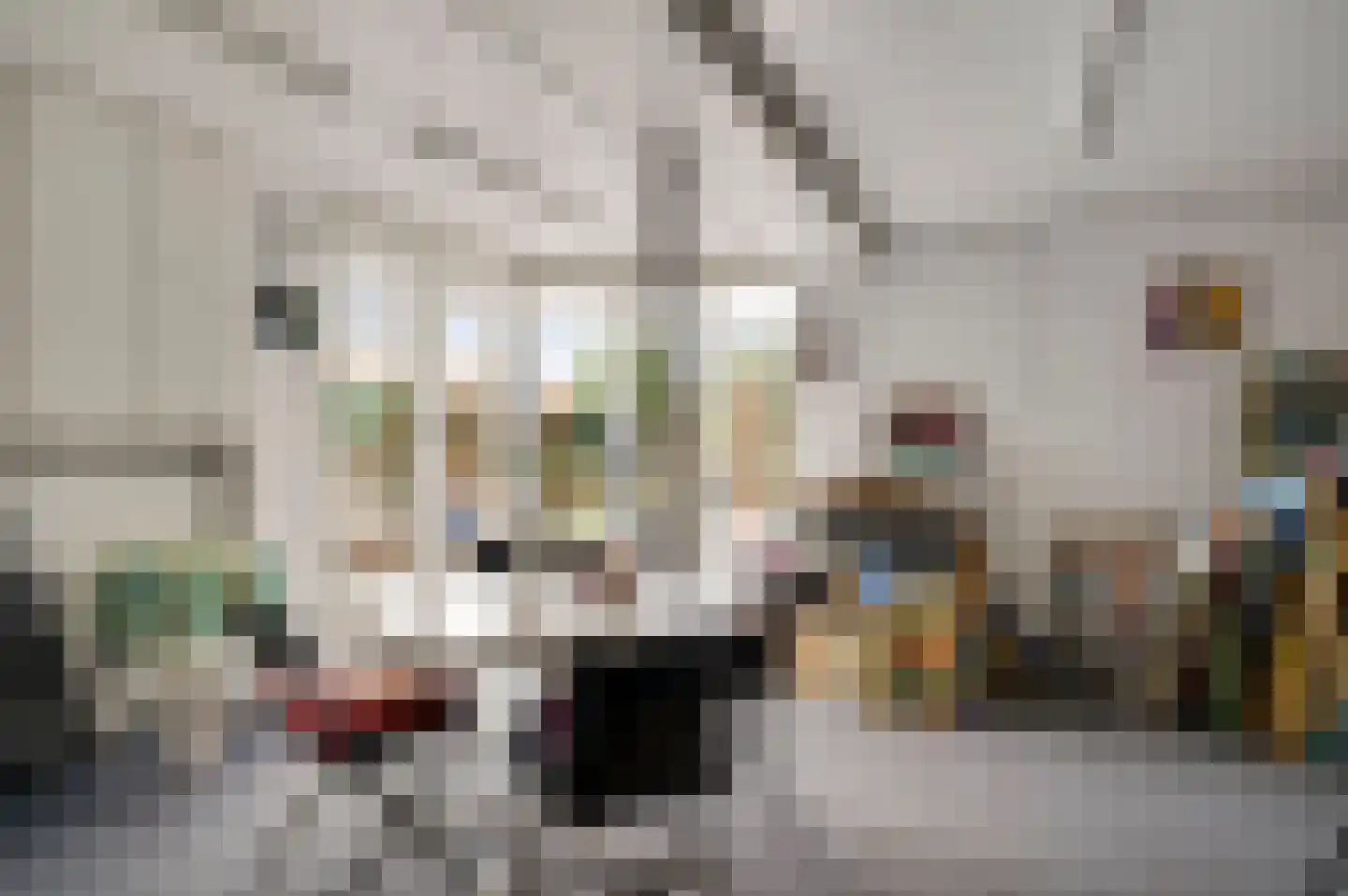 Graafschap Hornestraat 21 Horn thumbnail 25