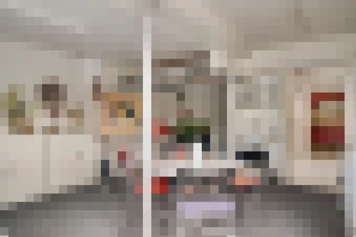Graafschap Hornestraat 21 Horn thumbnail 26