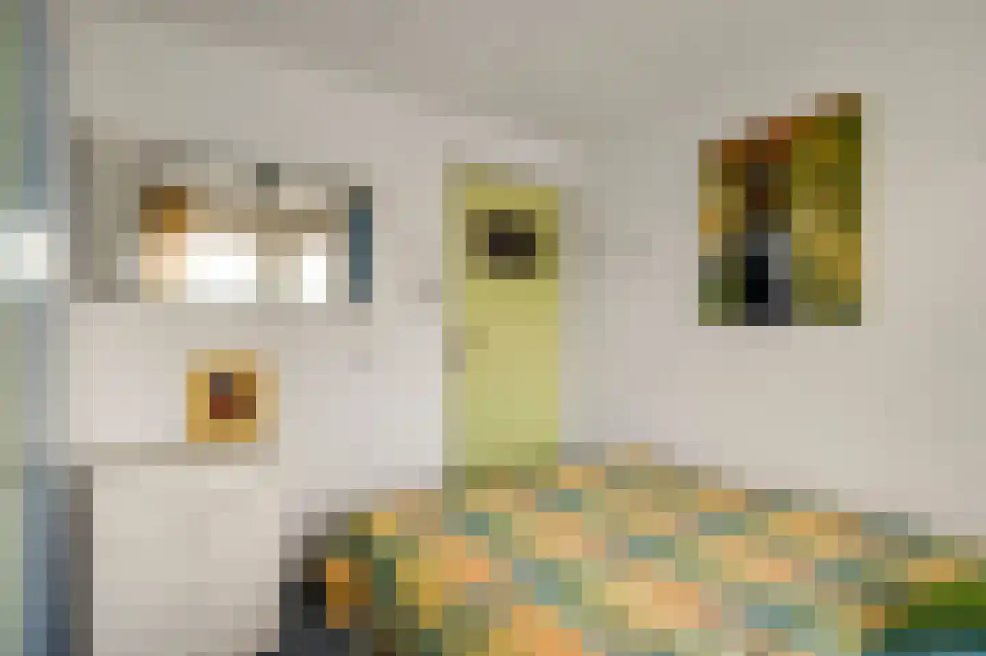 Graafschap Hornestraat 21 Horn thumbnail 34
