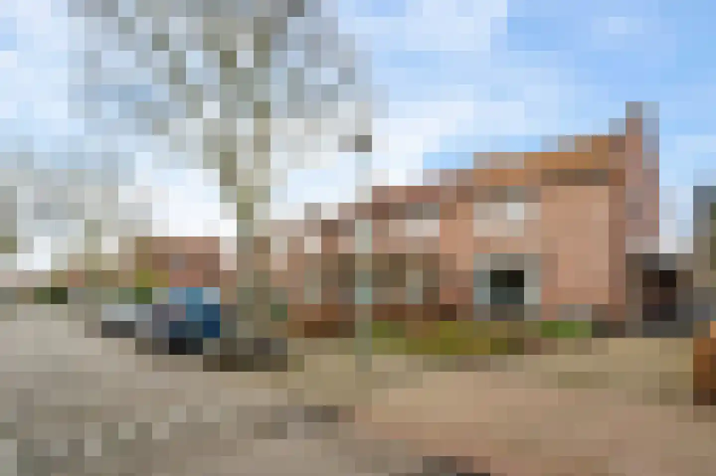 Graafschap Hornestraat 21 Horn thumbnail 42