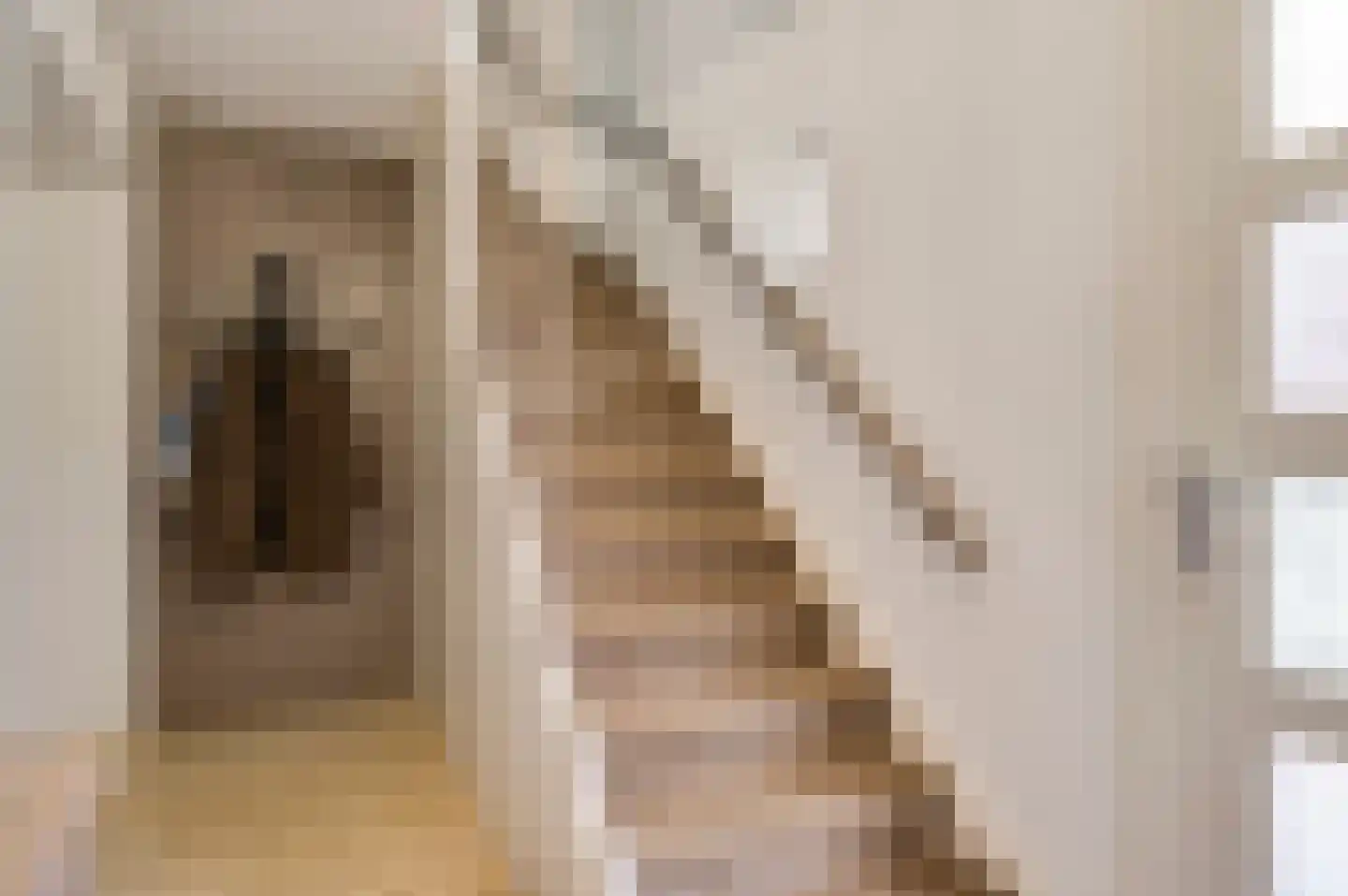 Graafschap Hornestraat 21 Horn thumbnail 7