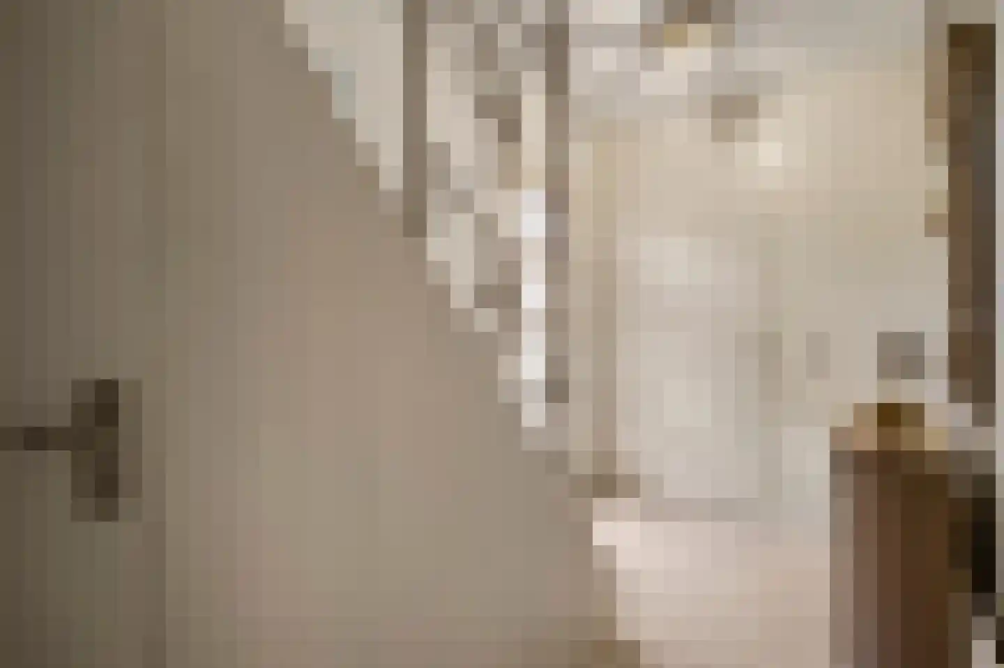Graafschap Hornestraat 21 Horn thumbnail 8