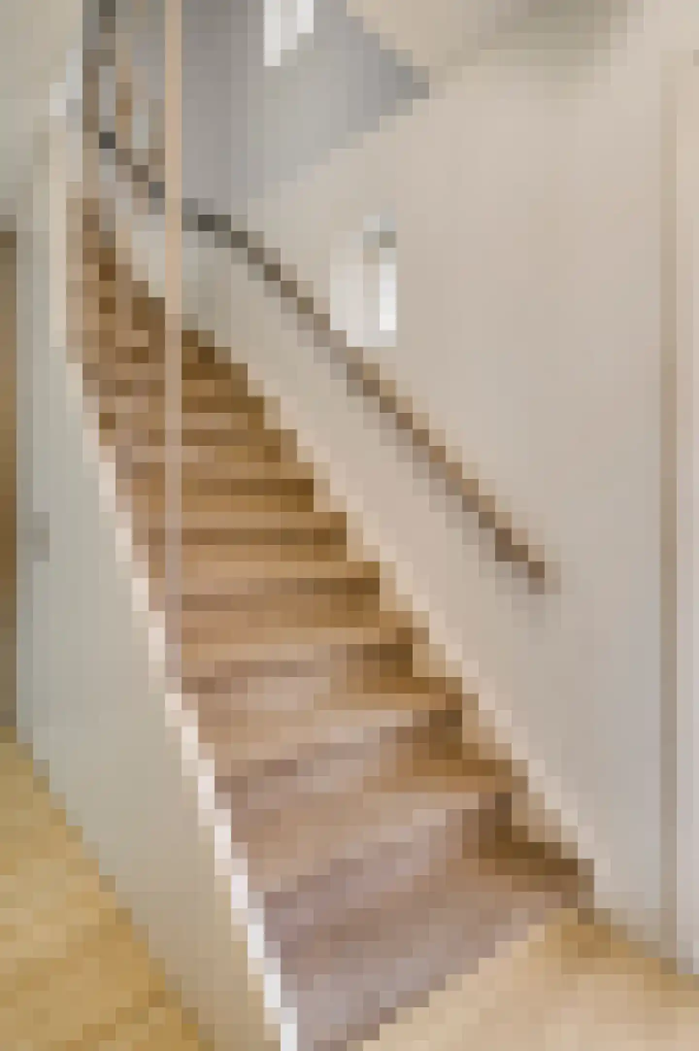 Graafschap Hornestraat 21 Horn thumbnail 9