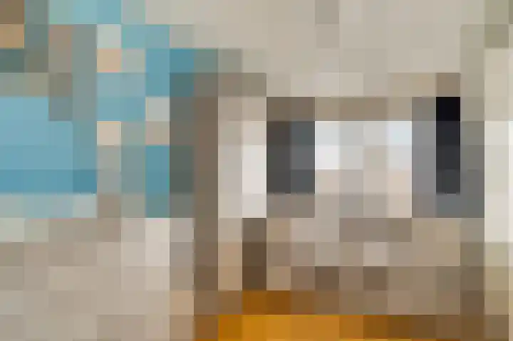 Graafschap Hornestraat 39 Horn thumbnail 26