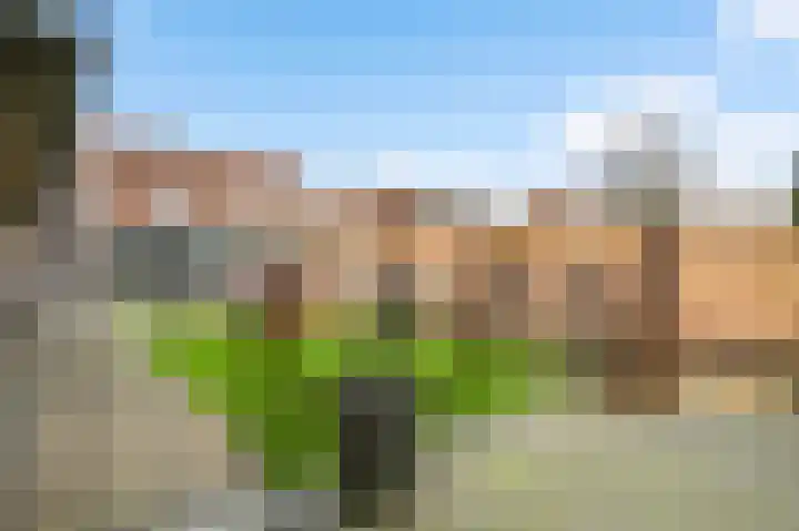 Graafschap Hornestraat 39 Horn thumbnail 29