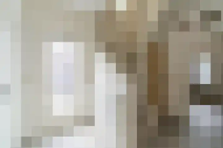 Graafschap Hornestraat 45 Horn thumbnail 4