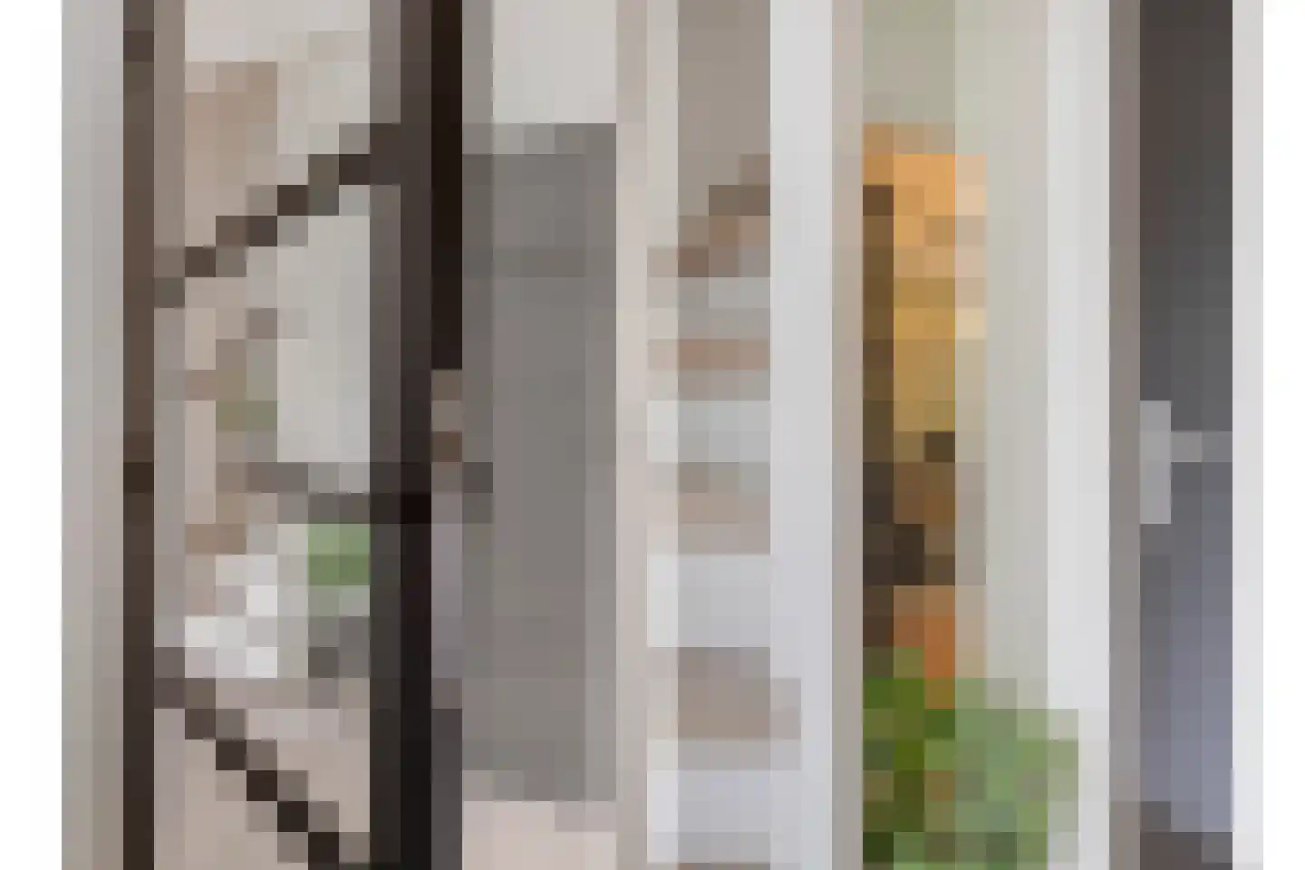 Graafschap Kesselstraat 12 Panningen thumbnail 6