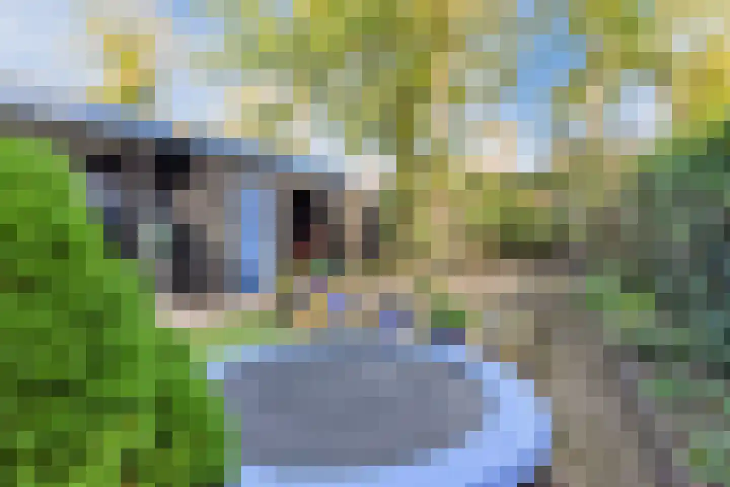 Graafschappad 2 Son en Breugel thumbnail 37